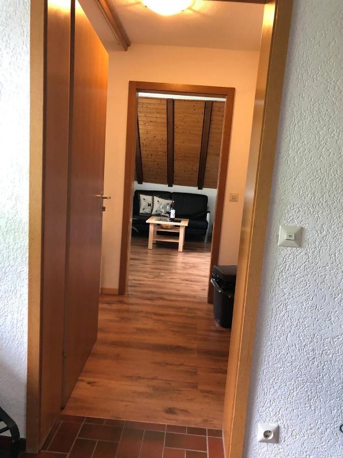 Ferienwohnung Haus am Scheibenfelsen St. Blasien Exterior foto