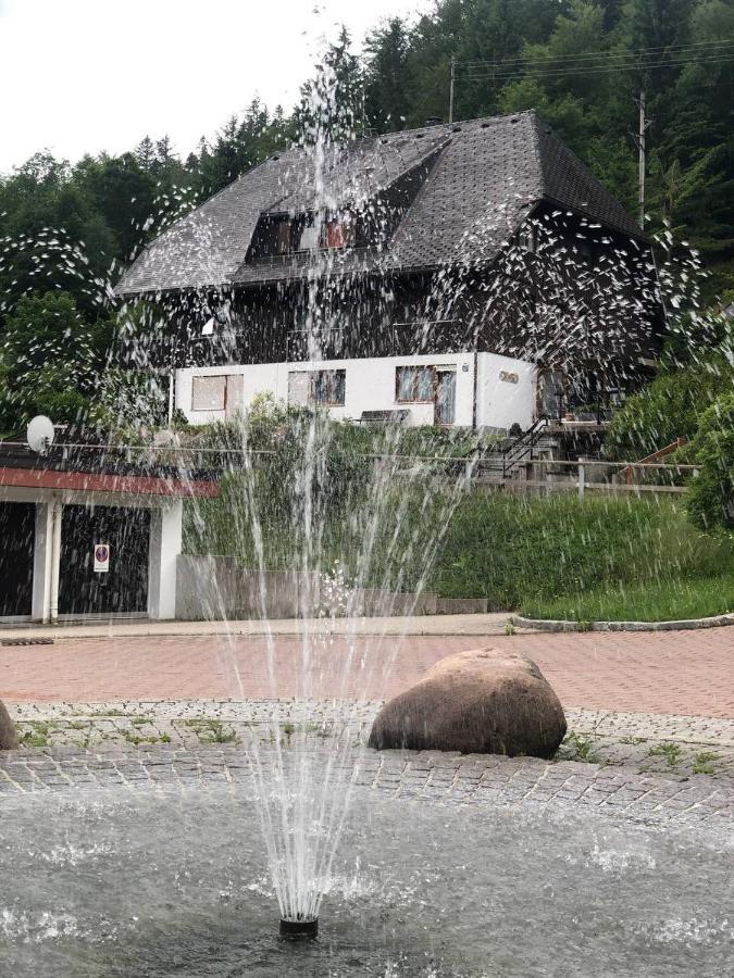 Ferienwohnung Haus am Scheibenfelsen St. Blasien Exterior foto