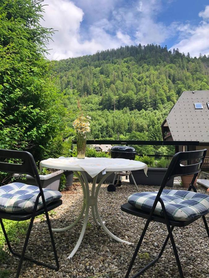 Ferienwohnung Haus am Scheibenfelsen St. Blasien Exterior foto