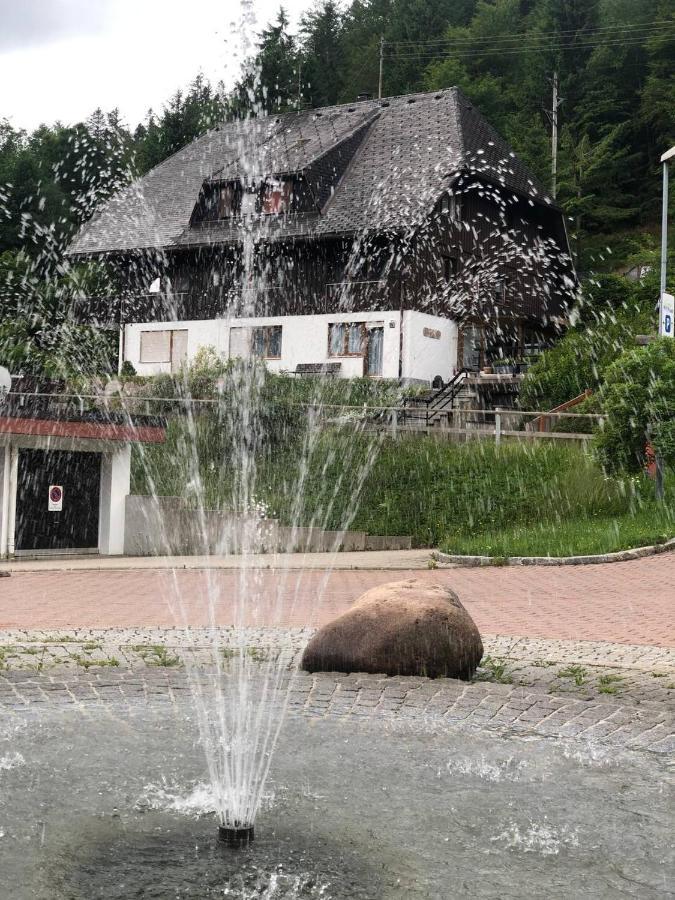 Ferienwohnung Haus am Scheibenfelsen St. Blasien Exterior foto