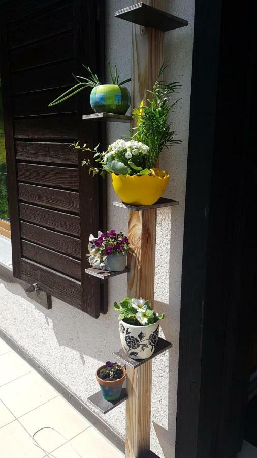 Ferienwohnung Haus am Scheibenfelsen St. Blasien Exterior foto